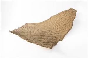 Image description is not available for 2004.1.1